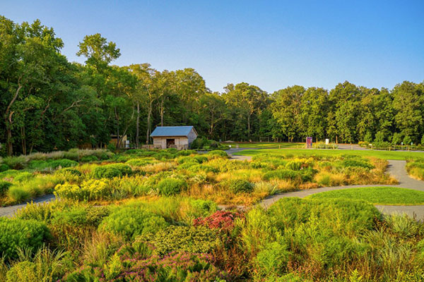 Delaware Botanic Garden at Pepper Creek