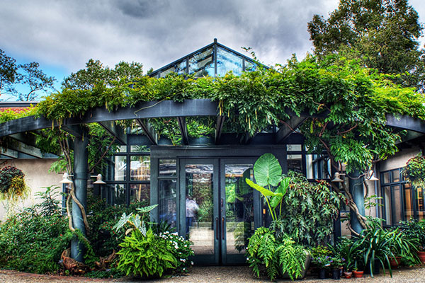 Delaware Center for Horticulture Delaware Center for Horticulture logo