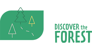 Discover the Forest logo
