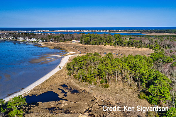 James Farm Ecologicald Preserve James Farm Ecological Preserve