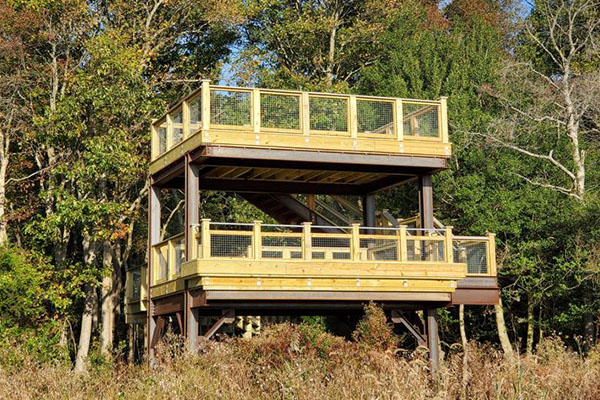 Little Creek Wildlife area Little Creek Wildlife Area