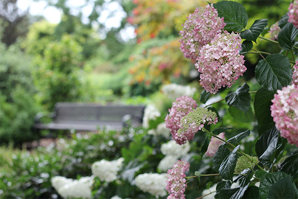 UD Botanical Gardens UofD Botanical Gardens