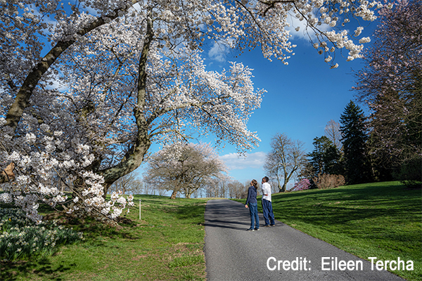 Winthur Museum Winterthur Museum