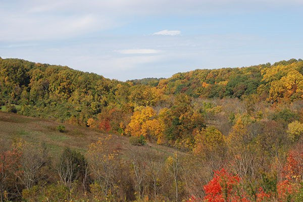 Ashland Nature Center Hawkwatch Hill View from Hawkwatch Hill