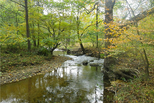 Coverdale Farm Burrows Run Coverdale Farm Burrows Run